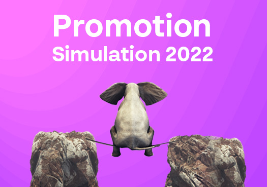 Promotion Simulation